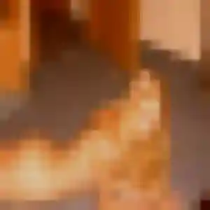 Rejoins Alice, 42 ans à Rignac gratuitement