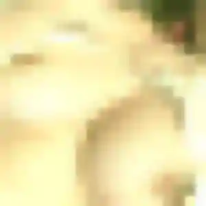 Jolie Helene, 45 ans à Rillieux-la-Pape - la contacter