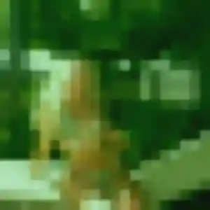 Profil de Tamara à Rillieux-la-Pape (31 ans) - plan cul gratuit