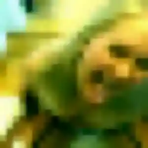 Magalie, fille de 33 ans cherche plan cul à Riorges