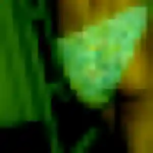 Ximena, 29 ans, disponible à Roanne pour un plan cul