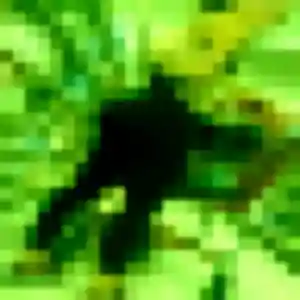 Sandrine de Roche, 44 ans - plan cul sans prise de tête