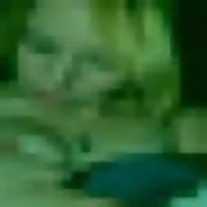 Jolie Ophelie, 43 ans à Roclincourt - la contacter