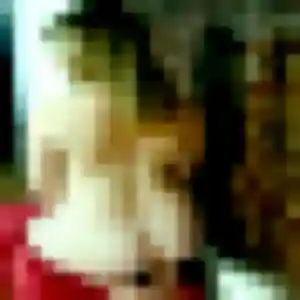 Celine, 23 ans, connectée à Rognac pour une rencontre coquine