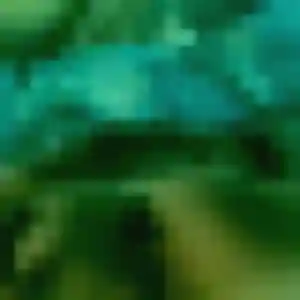 Francine, femme de 31 ans veut plan cul à Roost-Warendin