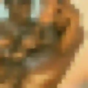 Gwendoline, 27 ans, connectée à Roquemaure pour un plan cul