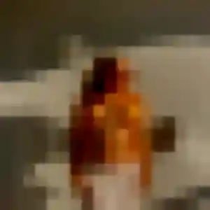 Profil de Morgane à Roscanvel (43 ans) - plan cul discret
