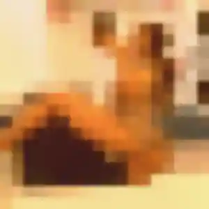 Therese, 37 ans, disponible à Rosenwiller pour un plan cul