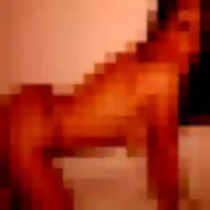 Photo sexy de Maud, 37 ans à Rosnoën - rencontre coquine