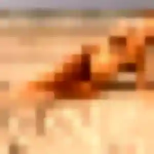 Nadine, 34 ans, veut un plan cul à Rosult