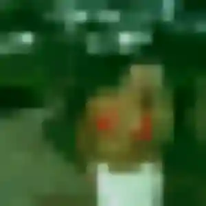 Angelique (27 ans) à Rubrouck cherche une rencontre maintenant