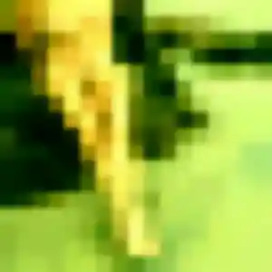 Photo de Leila à Sadroc (36 ans) - plan cul anonyme