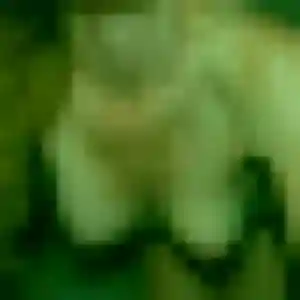 Photo sexy de Kawtar, 43 ans à Saint-Amans-des-Cots - plan discret