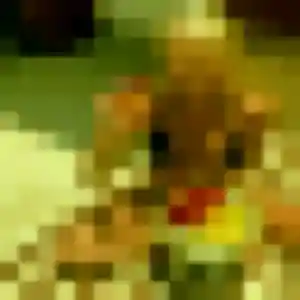 Contacte Charlotte, 28 ans à Saint-André-de-la-Roche en t'inscrivant