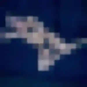 plan cul à Saint-André-de-la-Roche : profil de Soraya, 33 ans - accès libre