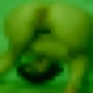 Charmante Kenza, 37 ans à Saint-André-lez-Lille - la contacter