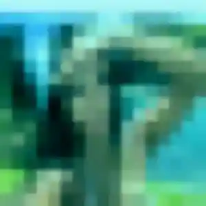 Photo exclusive de Armelle, 26 ans à Saint-Apollinaire - rencontre sans lendemain