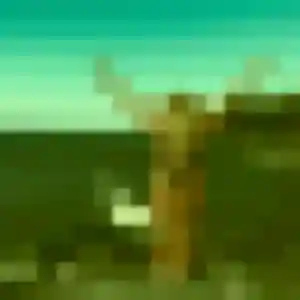 Jolie Elvire, 31 ans à Saint-Béron - voir sa photo