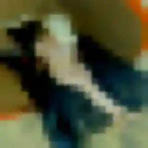 Belle Jihane, 28 ans à Saint-Béron - voir sa photo