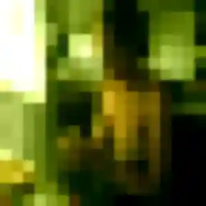 Profil de Samira à Saint-Chamond (42 ans) - plan cul discret