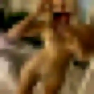 Bertille, 41 ans, veut un plan cul à Saint-Christo-en-Jarez