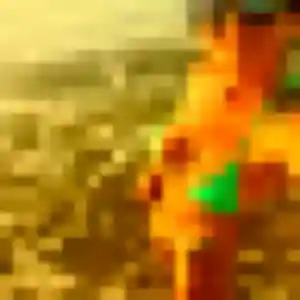 Contacte Colombe, 38 ans à Saint-Côme-d'Olt gratuitement