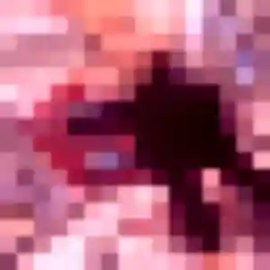 Flavia, 31 ans, connectée à Saint-Côme-et-Maruéjols pour une rencontre coquine