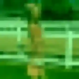 Jihane, 29 ans, dispo pour plan cul à Saint-Donan
