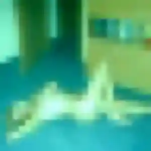 Marilou, 39 ans, en ligne à Saint-Donan pour un plan cul