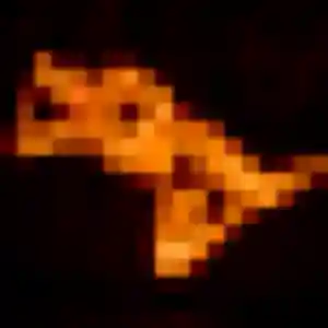 plan cul à Saint-Floris : profil de Marie-France, 28 ans - accès libre