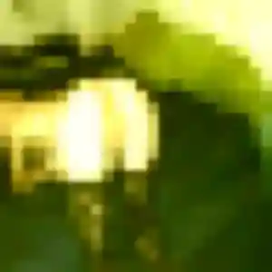 Mathilde, 39 ans, cherche un plan cul à Saint-Germain-sur-Morin