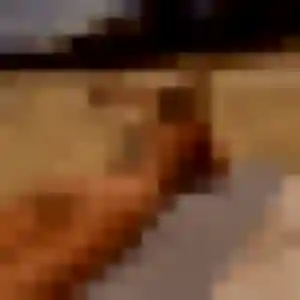 Rachel, 23 ans, cherche un plan cul à Saint-Honoré-les-Bains