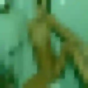 Celine, 36 ans, cherche un plan cul à Saint-Jans-Cappel