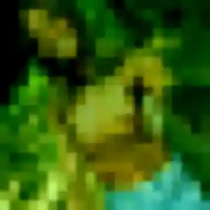 Belle Wilhelmine, 42 ans à Saint-Jean-Cap-Ferrat - voir sa photo