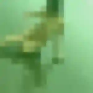 plan cul à Saint-Jean-de-Maruéjols-et-Avéjan : photo de Helena, 37 ans - accès libre