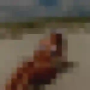 plan cul à Saint-Jean-de-Védas : photo de Iris, 29 ans - inscription gratuite