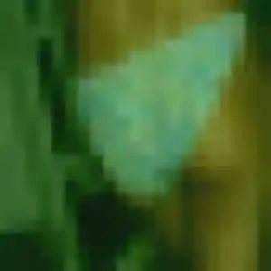 Zephyrine de Saint-Jean-de-Védas, 22 ans - plan cul discret