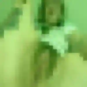 Lola, 23 ans, cherche un plan cul à Saint-Julien-les-Rosiers