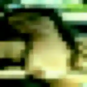 Janine, femme de 29 ans propose plan cul à Saint-Just-d'Ardèche