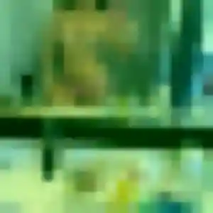 Djamila, femme de 31 ans propose plan cul à Saint-Just-Saint-Rambert