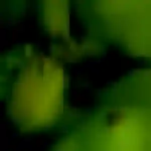 Tamara (34 ans) à Saint-Marcel cherche un plan cul aujourd'hui