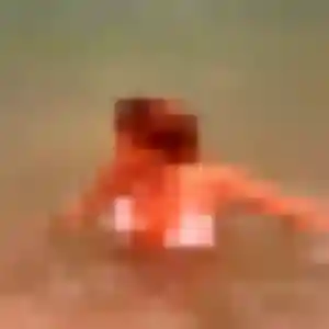 Isabelle, 32 ans, dispo pour plan cul à Saint-Marcel