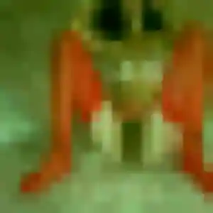 Photo de Lily à Saint-Marcel (29 ans) - plan cul anonyme