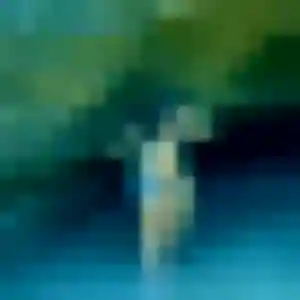 Contacte Bianca, 45 ans à Saint-Martin-la-Pallu en t'inscrivant