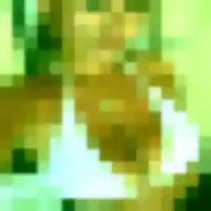 Profil de Bertrane à Saint-Médard-en-Jalles (38 ans) - plan cul gratuit