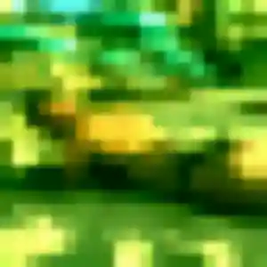 Eglantine, 23 ans, dispo pour plan cul à Saint-Paul-les-Fonts