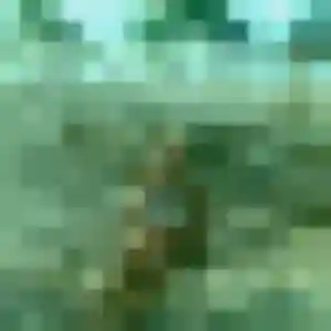 Adeline, 33 ans, cherche un plan cul à Saint-Priest-des-Champs