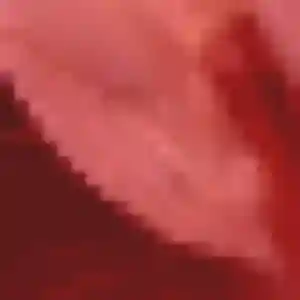 Sexy Viviane, 30 ans à Saint-Saulve - découvrir son profil