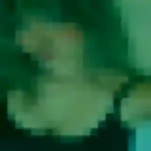 Barbara, fille de 22 ans propose plan cul à Saint-Simon