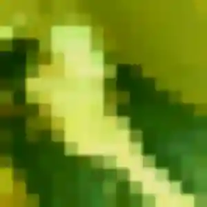 Bianca, 27 ans, connectée à Saint-Thomas-en-Royans pour un plan cul